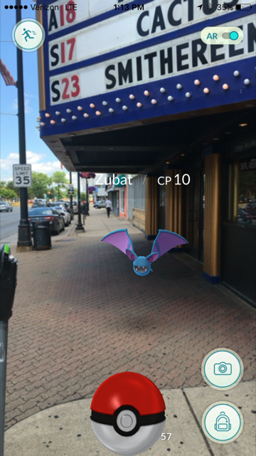 Gotta Catch 'Em All: downtown Ferndale is hot with Pokémon