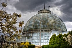 Mobile app for Belle Isle debuts