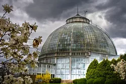 Mobile app for Belle Isle debuts