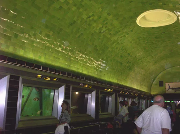 The Belle Isle Aquarium needs your help post-flood