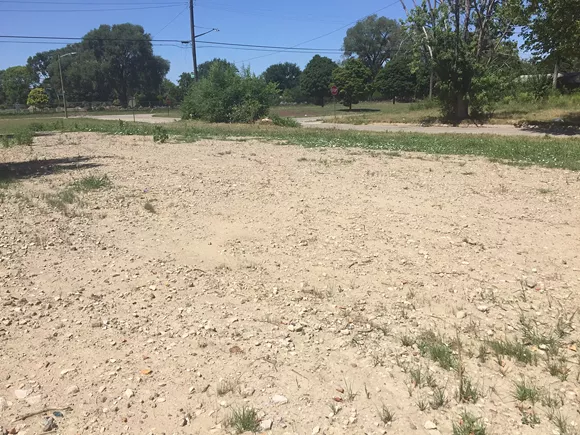 "Top soil" on the site of a recently demolished home on Detroit's northeast side. Flowers and grass and plants can totally thrive here ... not.