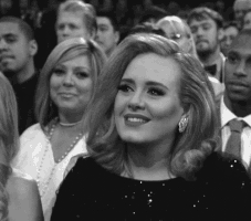 Adele's show at The Palace: described through GIFs.