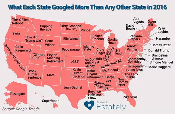 You'll never guess what Michigan googled more than any other state this year
