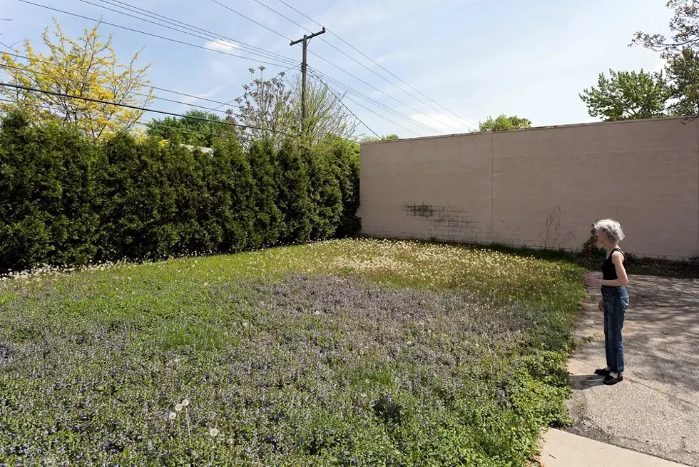 Hilberry admiring the wildflowers in her Ferndale gallery’s backyard, 2011. - Scott Hocking