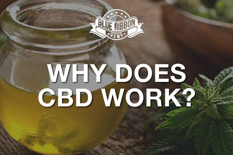 Why Does CBD Work?