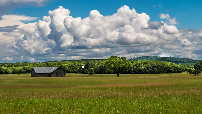 Agenda answers: 'What do Michigan's rural voters want?'