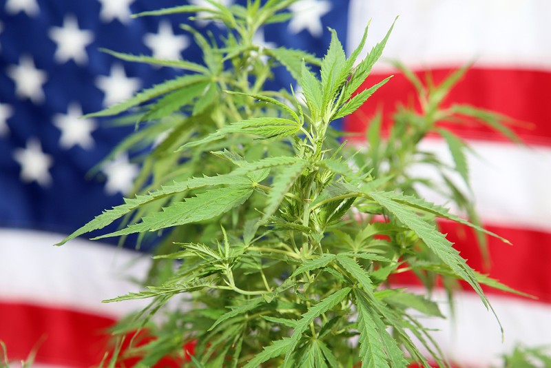 Historic vote to decriminalize marijuana in the House is postponed as moderates pump the brakes