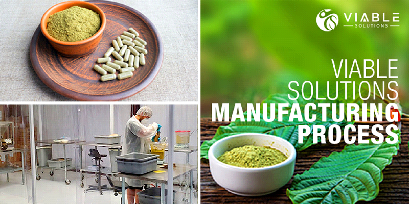 Viable Solutions Shows How Kratom Is Manufactured (6)