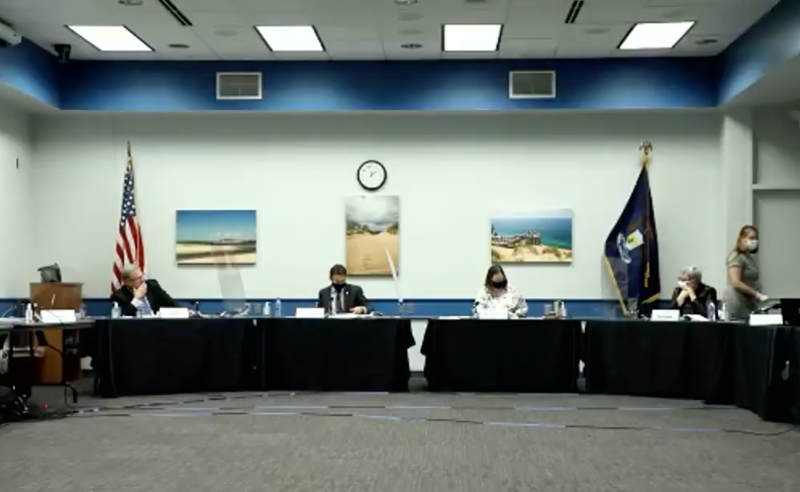 Michigan Board of State Canvassers certified the election results in November. - Screengrab/Zoom