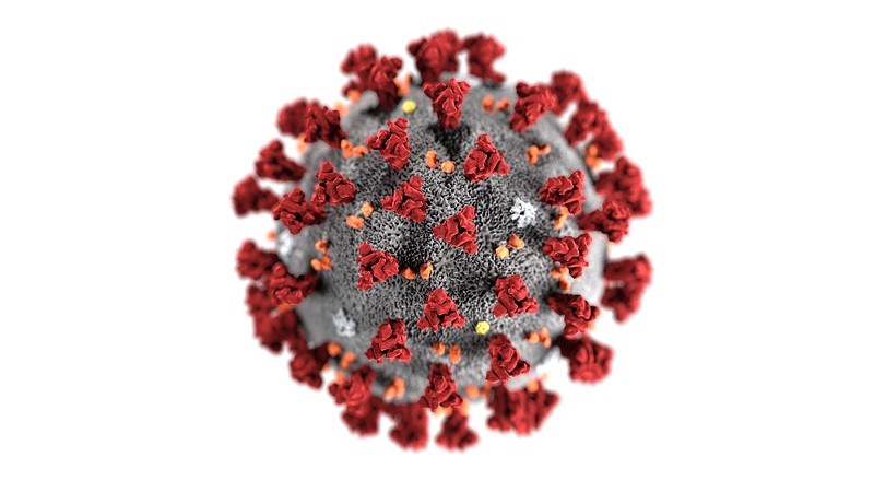 A visualization of the coronavirus. - Shutterstock