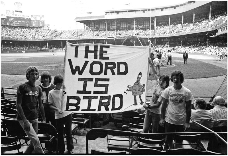 Tigers fans show their love for rookie sensation Mark "The Bird" Fidrych at Tiger Stadium in the bicentennial summer of '76. - Tom Hagerty