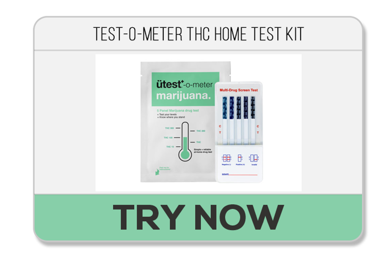 Top 5 Best At-Home Drug Testing Kits (2024)