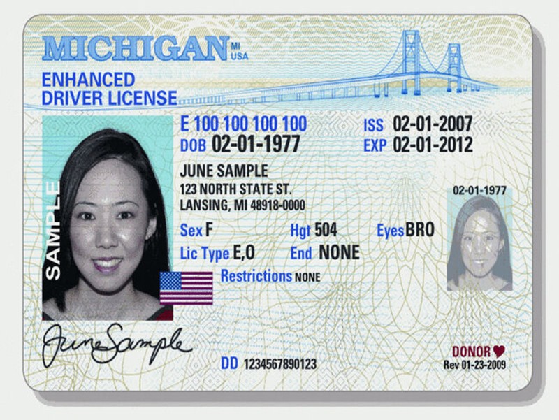 Lawmakers have introduced bills to grant access to ID cards and driver's licenses to undocumented immigrants multiple times in recent years, but the proposals have not been granted a hearing or vote. - MICHIGAN.GOV