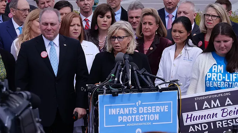 Liz Cheney is by no means a hero. But soon, we'll miss having the likes of her as an enemy. - Jerome460 / Shutterstock.com