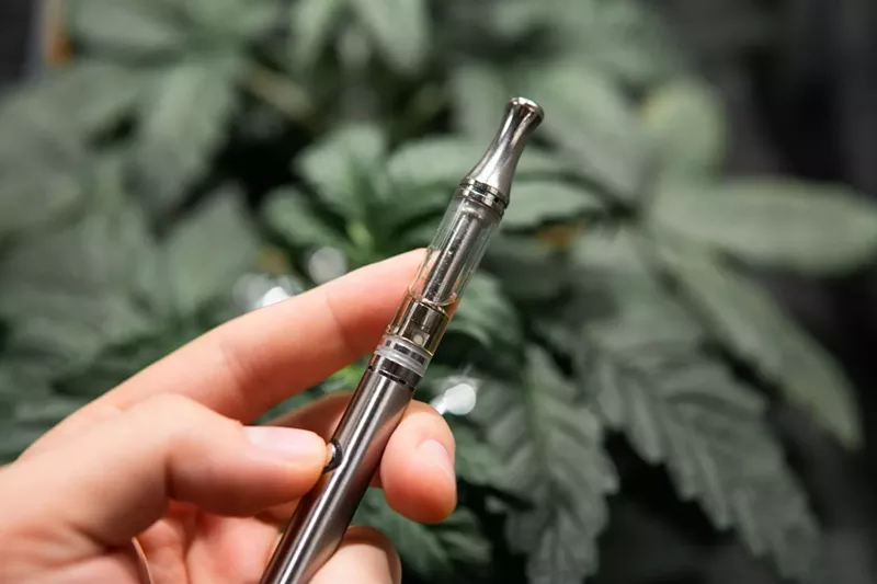 Delta 8 THC Drug Test: Everything You Need to Know to Detox 2024 (3)