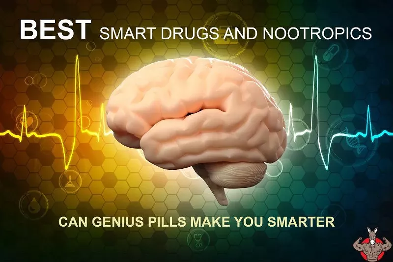 Best Nootropics — A Look at the Top-Rated Smart Drugs and Other Brain Supplements