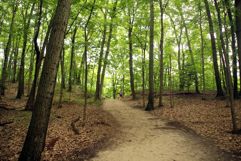 Winding trail through the forest in a Michigan state park. - Shutterstock