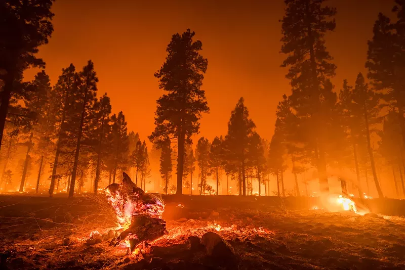 This is fine. - Shutterstock