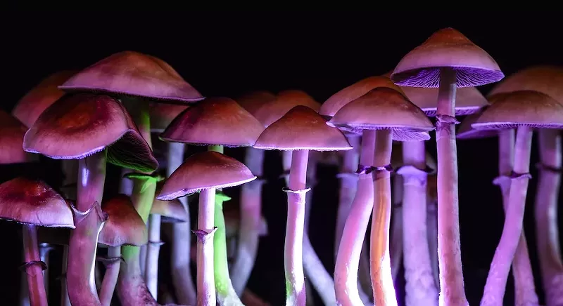 Ann Arbor declares September Psychedelics Awareness Month — and we're tripping