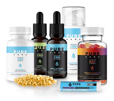 Top CBD Brands to Try – Wide Range of CBD Infused Products