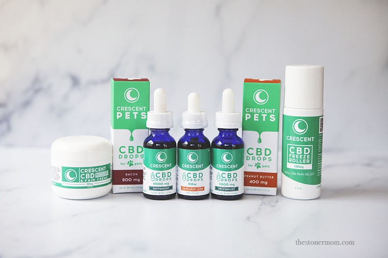 Top CBD Brands to Try – Wide Range of CBD Infused Products