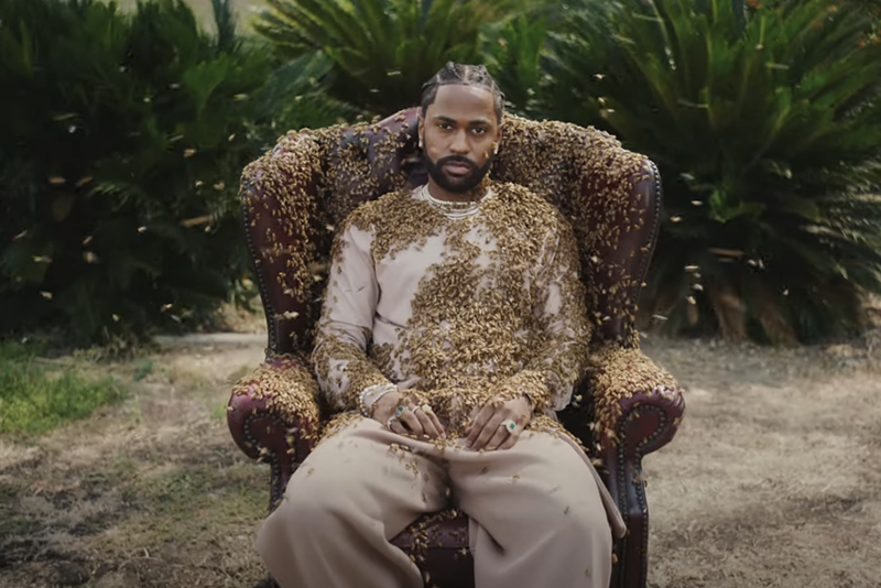 Big Sean is king bee in his latest video. - Screen grab/YouTube