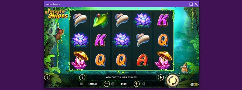 Real Money Slots With the Highest RTPs and Best Bonuses in 2022