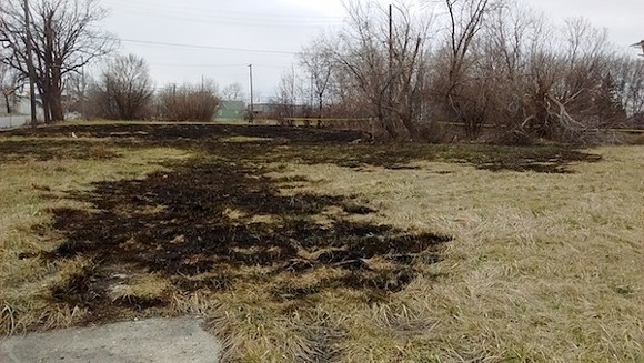 Scorched fields where a grass fire raged yesterday, north of Forest between St. Aubin and Dubois. - Photo by Michael Jackman