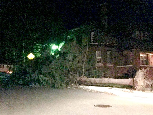 Image from last night shows a downed tree at Ashland and Korte on the east side. - Reader photo