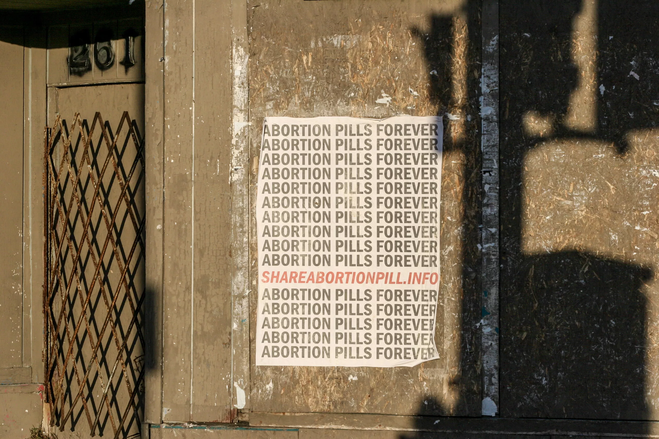With Roe v. Wade imperiled, posters in Detroit for shareabortionpill.info, a mail-order abortion website. - COURTESY PHOTO