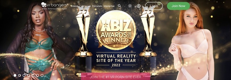 Best VR Porn Games 2024: Top Rated VR Porn Games (5)
