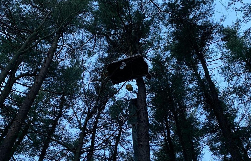 A protester is camped high in a tree to protect a forested section of Ann Arbor from being cleared for a luxury homes project. - FIGHT Concord Pines
