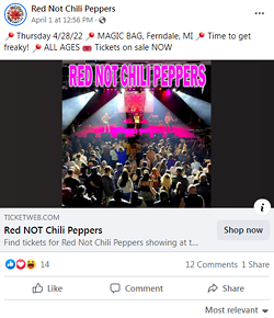 “It’s like the same spelling, just one letter,” says Aaron, who added that he didn’t notice it in the ad’s graphic, where the band name was rendered in all caps. - SCREENGRAB, FACEBOOK