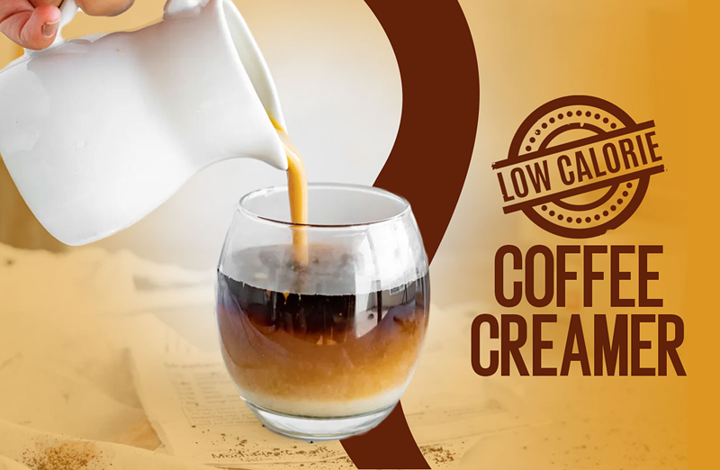 Best Low Calorie Coffee Creamer 2022 - Ranked