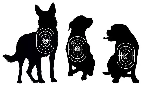 Detroit police argue unlicensed dogs are contraband
