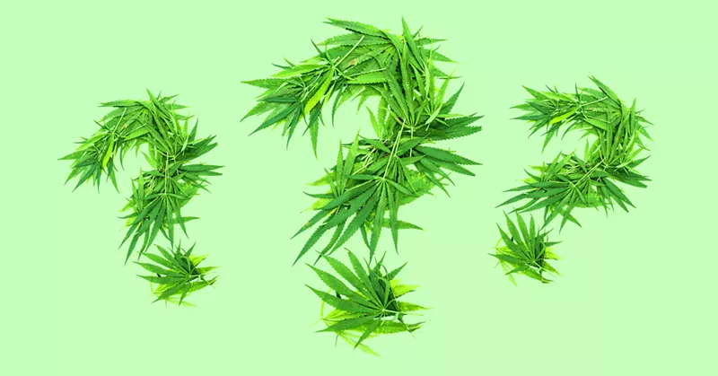 If you're going to a dispensary for the first time, you probably have some questions. - Shutterstock