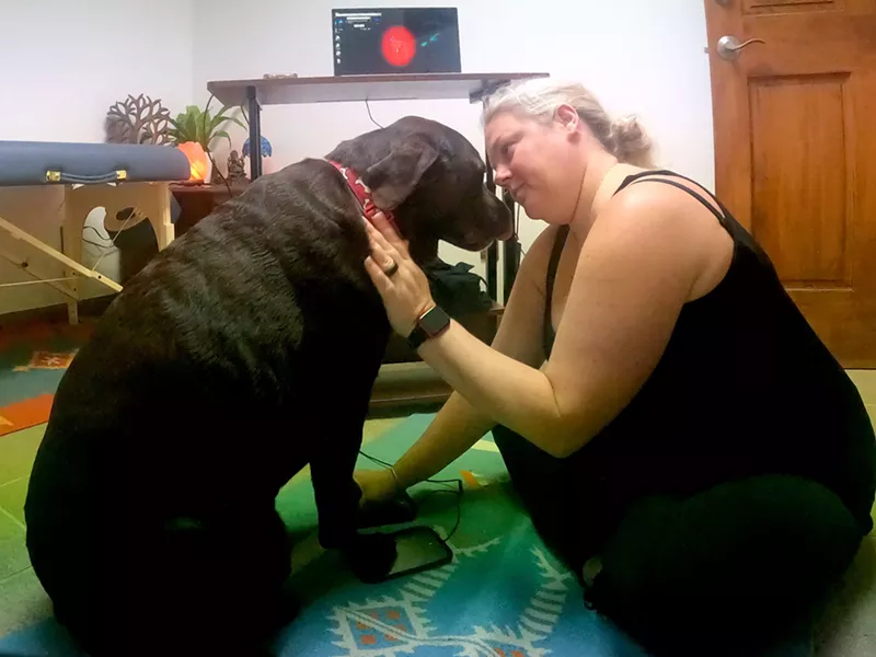 Your Pet Has Chakras Just Like You!