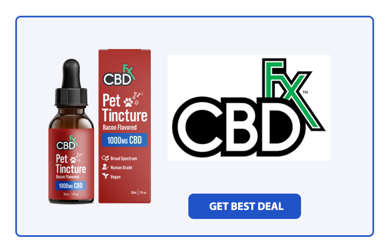 Top 6 Best CBD Oil for Dogs with Arthritis in 2024