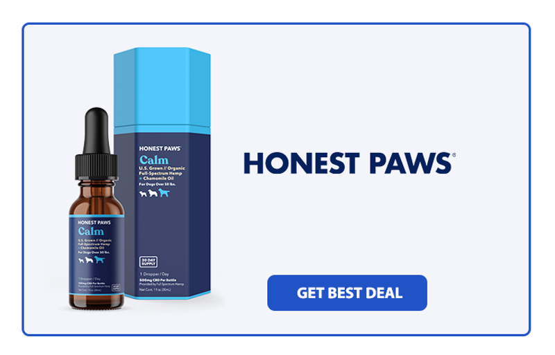 Top 6 Best CBD Oil for Dogs with Arthritis in 2024 (6)