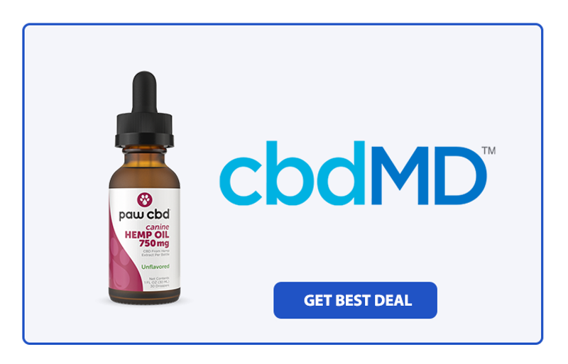 Top 6 Best CBD Oil for Dogs with Arthritis in 2024 (7)