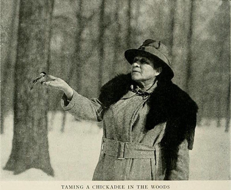 A photo from 1920 of Etta S. Wilson holding a chickadee. - Courtesy of Friends of Rouge Park