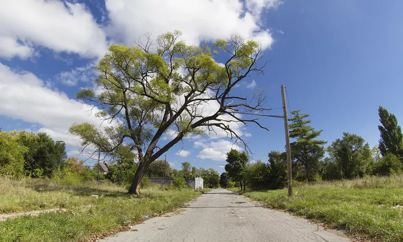 The area near the Coleman A. Young Municipal Airport is largely vacant on Detroit's east side. - Steve Neavling