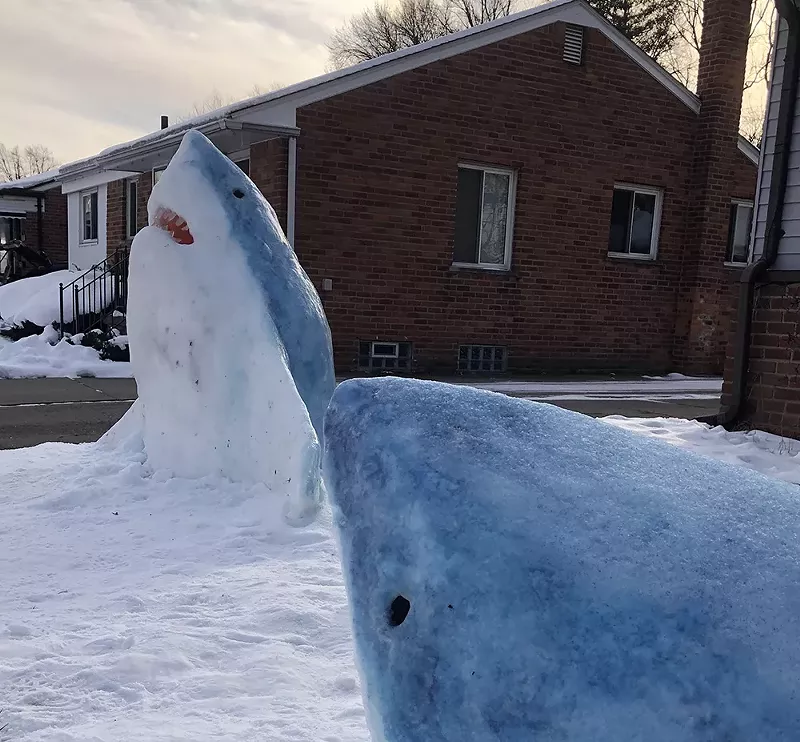 Madison Heights art teacher Jennifer Ramirez created a snowshark out of snow, ice, and food coloring. - Courtesy photo