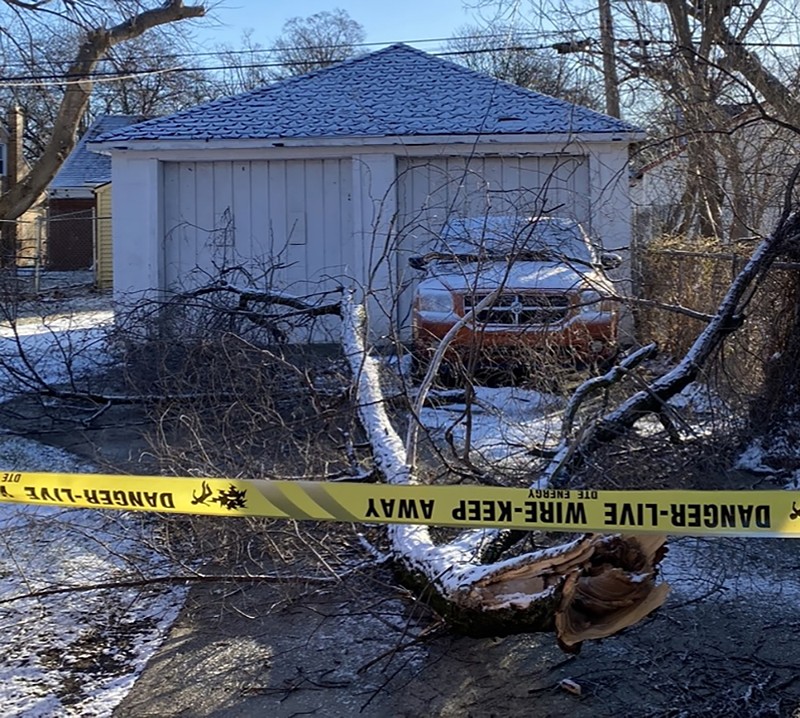 DTE Energy left a downed power line in my backyard for days, blocking my car. - Alex Washington