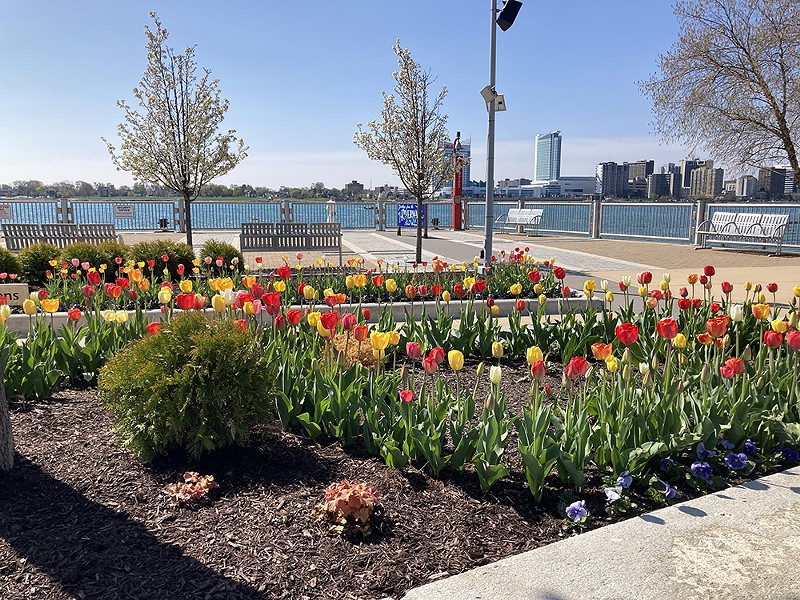 Flowers are already blooming along the Riverwalk. - Joe Lapointe