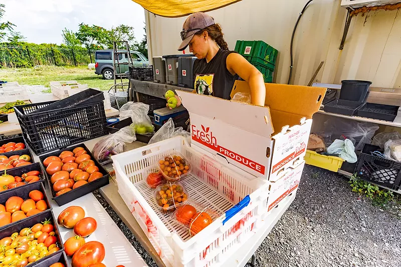 CSAs aren’t for picky eaters either, as you never know exactly what you’re going to get. - Keep Growing Detroit