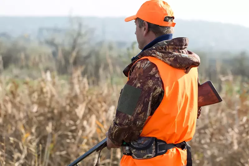 Supporters of Senate Bills 103, 104, and 105 tout industry consensus as a selling point — a warning sign that should stand out like an orange hunting vest. - Shutterstock