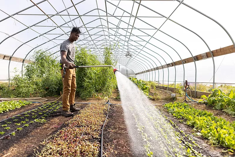 Urban farms, community gardens, and community spaces are now exempt from the tax increase. - Courtesy of Keep Growing Detroit