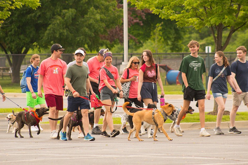 People and their four-legged friends walking at the Mutt Strut. - Courtesy photo