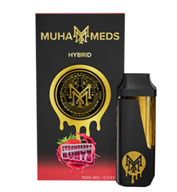 Exploring Muha Meds: A Taste of Excellence